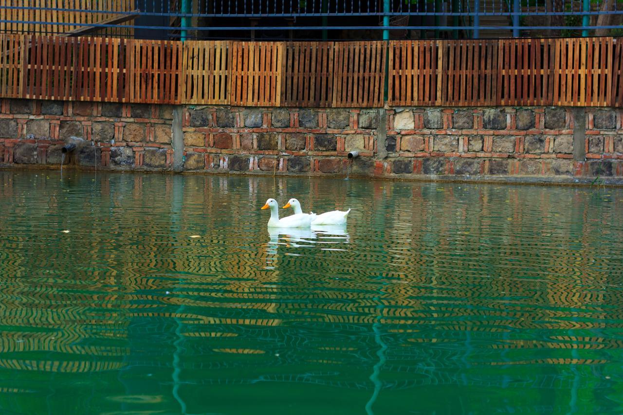 第比利斯 Amiran'S Lake酒店 外观 照片