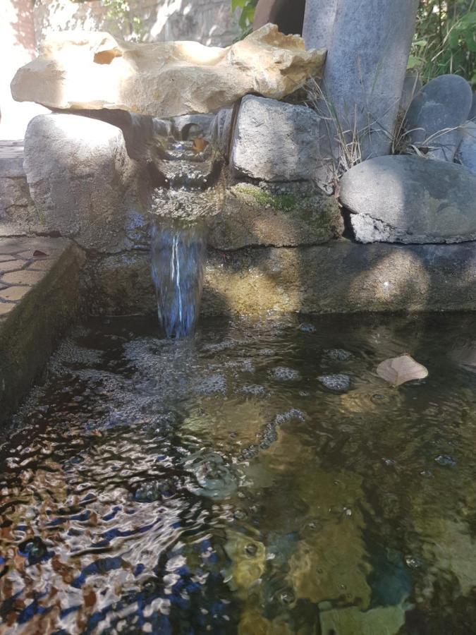 第比利斯 Amiran'S Lake酒店 外观 照片